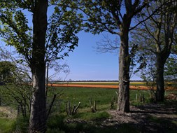 IMG_20210513_153817