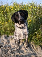 IMG_20190806_201952 - kopie