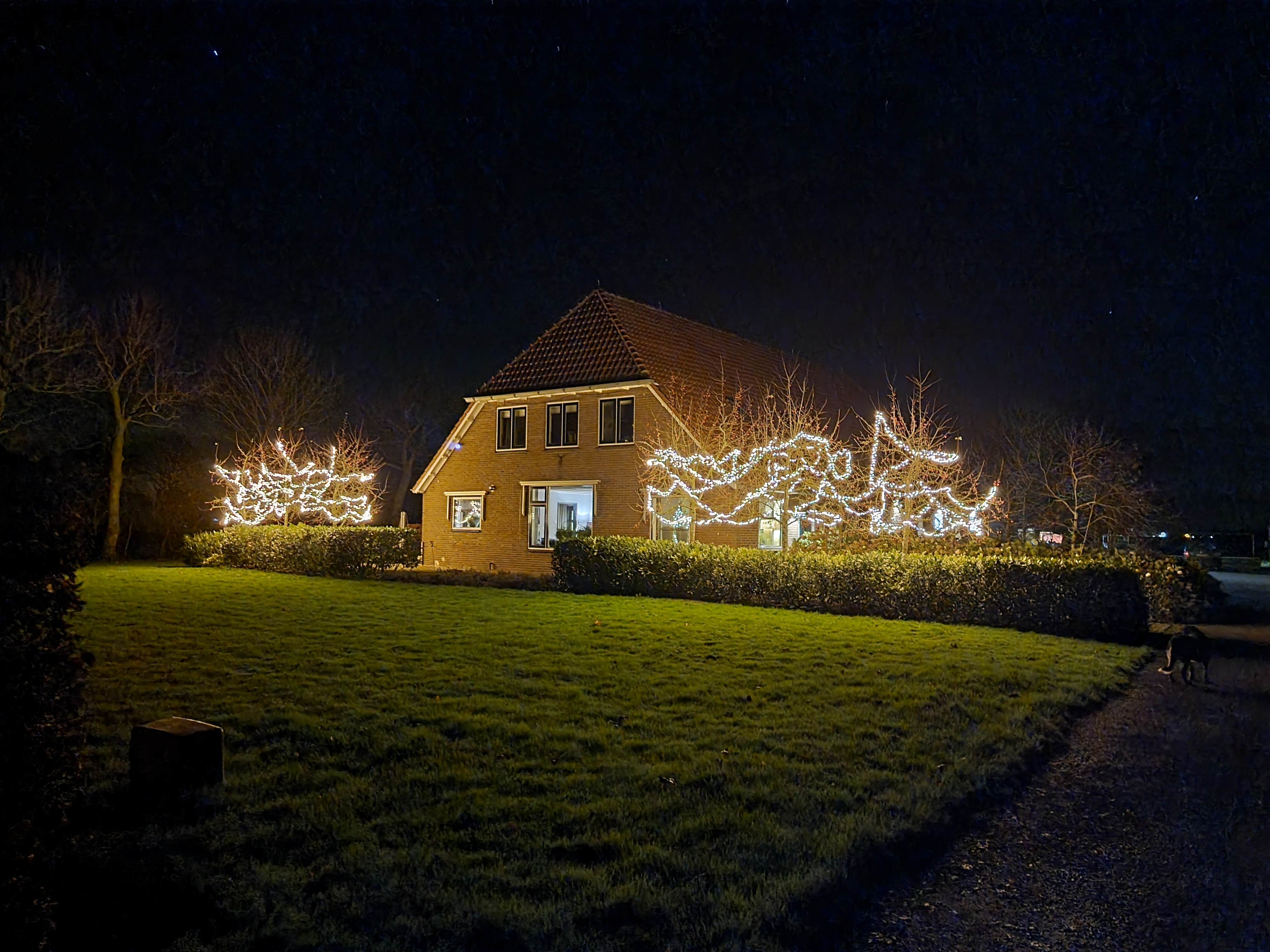 Merry Christmas & Happy New year!